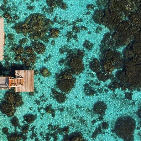 Tahiti Ia Ora Beach Resort - Managed By Sofitel Пунауиа Екстериор снимка